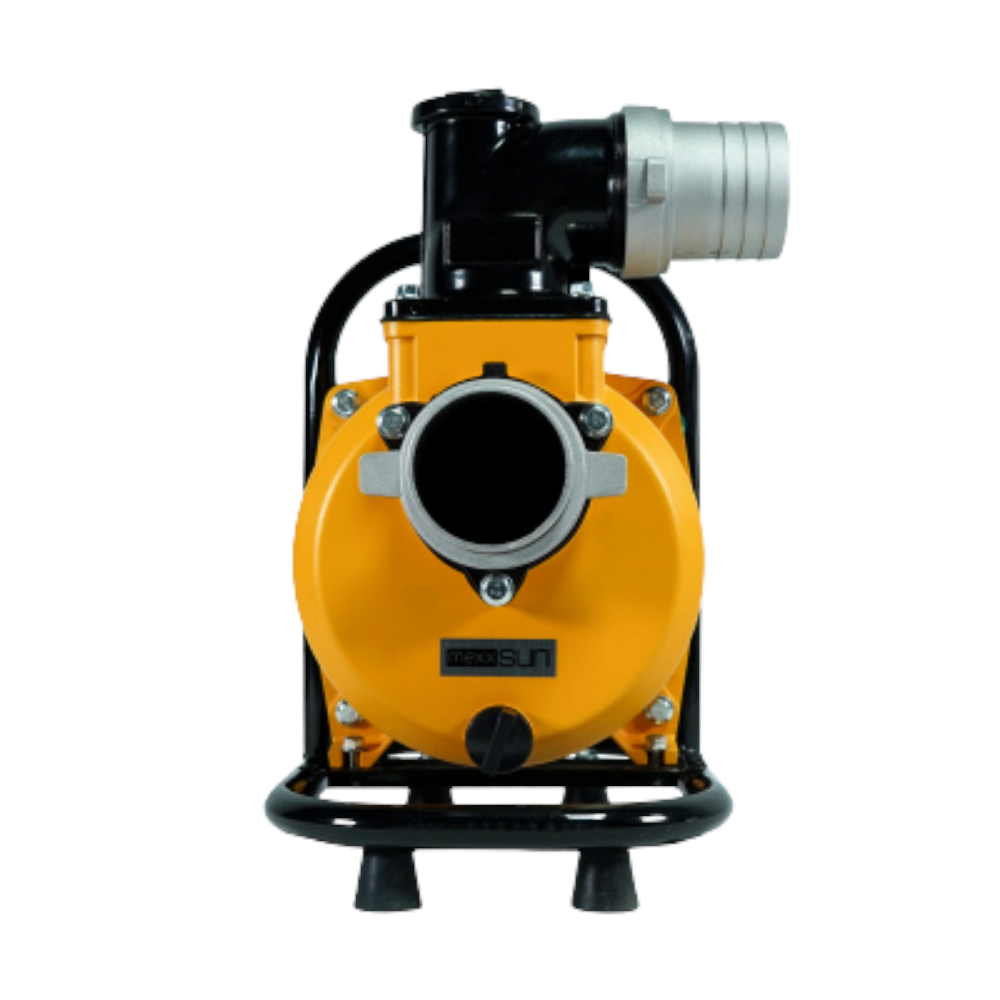 Mexxsun 2 HP 1500W DC Yüzey Pompa (SFP29-13-1500W/110V)