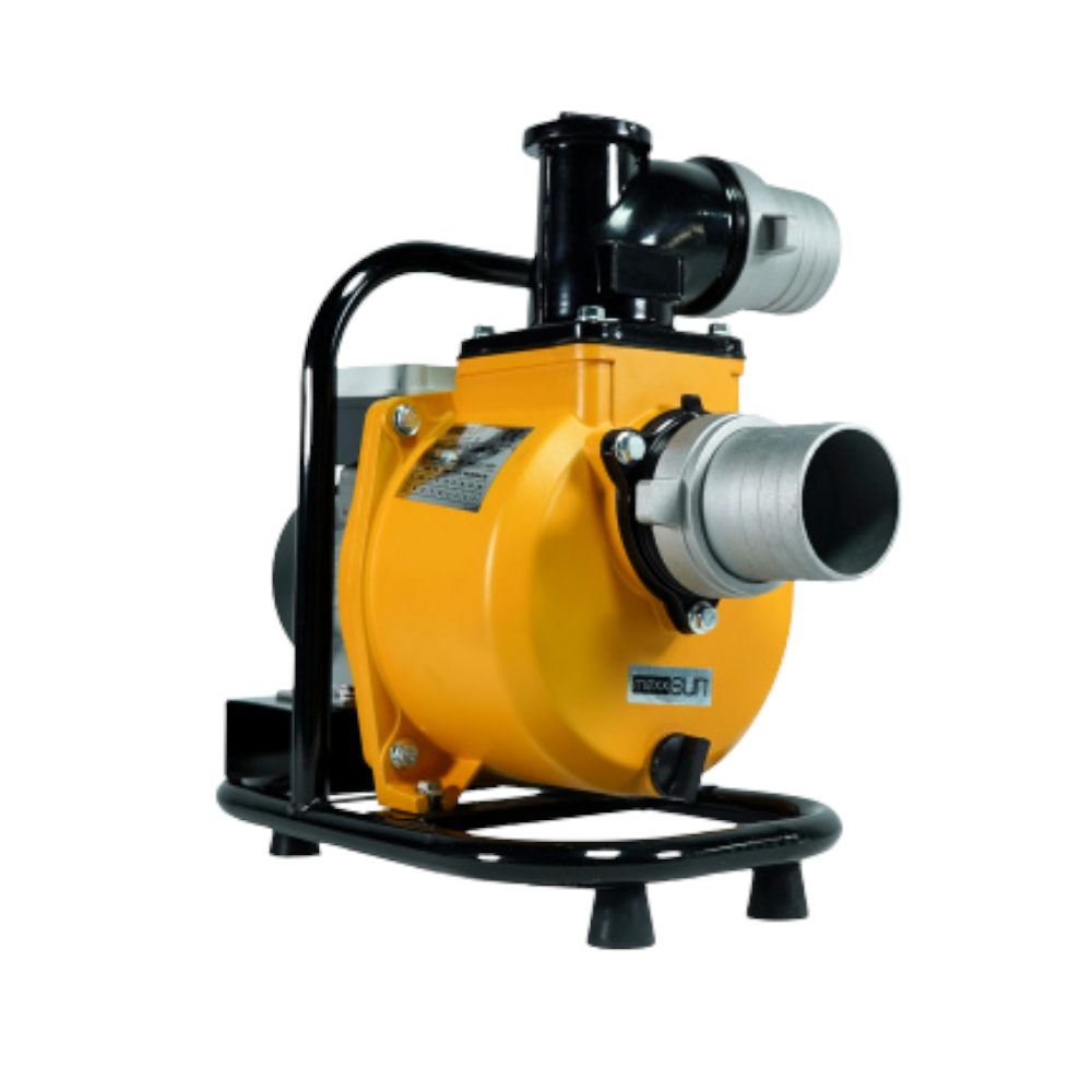 Mexxsun 2 HP 1500W DC Yüzey Pompa (SFP29-13-1500W/110V)