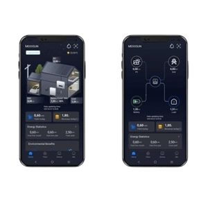 Mexxsun Mexx-P4kW Premium 24V 4kW Tam Sinüs Akıllı Inverter (Wi-Fi/ Dual Output)