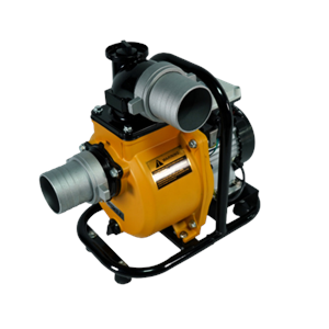 Mexxsun 2 HP 1500W DC Yüzey Pompa (SFP29-13-1500W/110V)