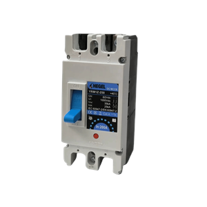 Hegel 200A 1000VDC 2 Kutuplu Sigorta