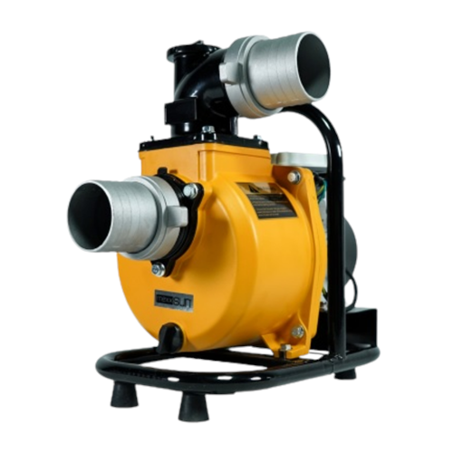 Mexxsun 2 HP 1500W DC Yüzey Pompa (SFP29-13-1500W/110V)