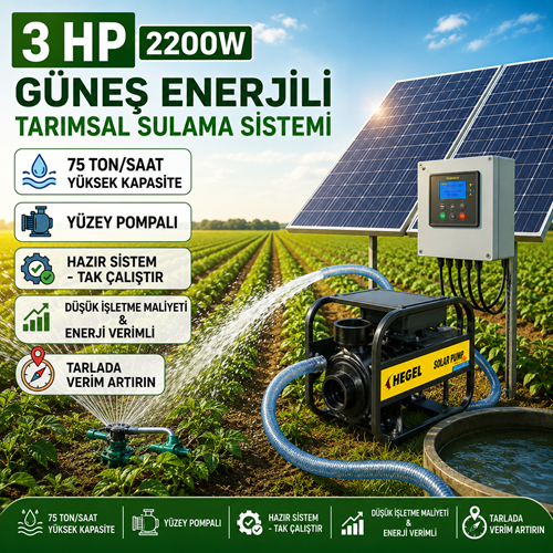 3 HP 2200W Yüzey Pompalı Sulama Sistemi 75 Ton/Saat
