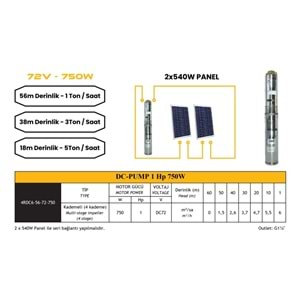 Dc Pompa 1 Hp / 750w Dalgıç